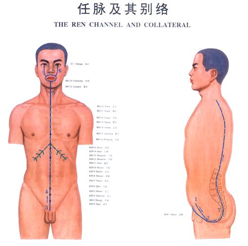<a href=https://www.zhzyw.com/zyxx/jl/08101820BC5C033G7C904C6A3.html target=_blank>任脉</a>与其别络