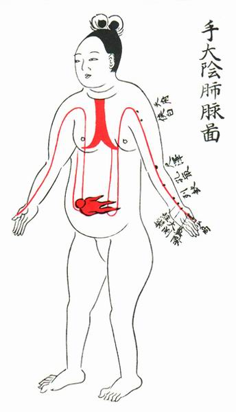 手太阴肺脉