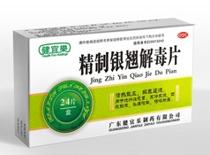 精制银翘解毒片