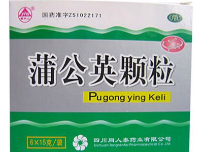蒲公英颗粒