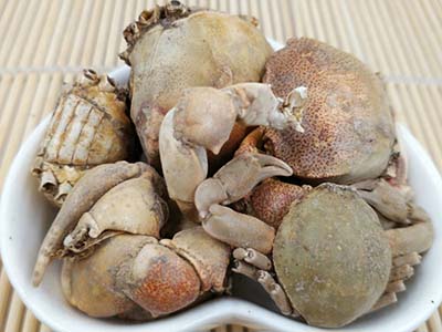 螃蟹壳