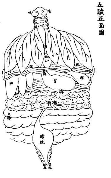 《循经考穴编》传本存真图 