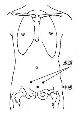 图5-2-3水道、中极