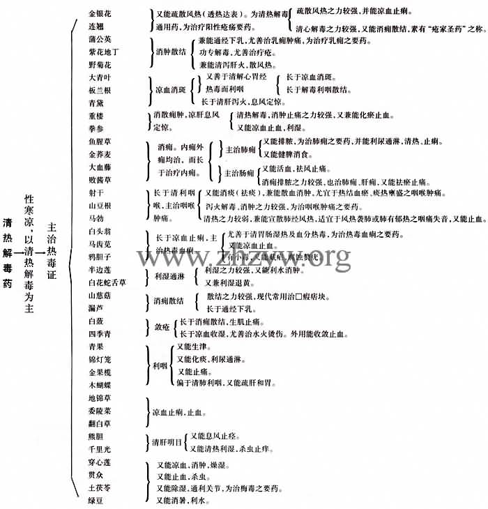 清热泻火药的功用