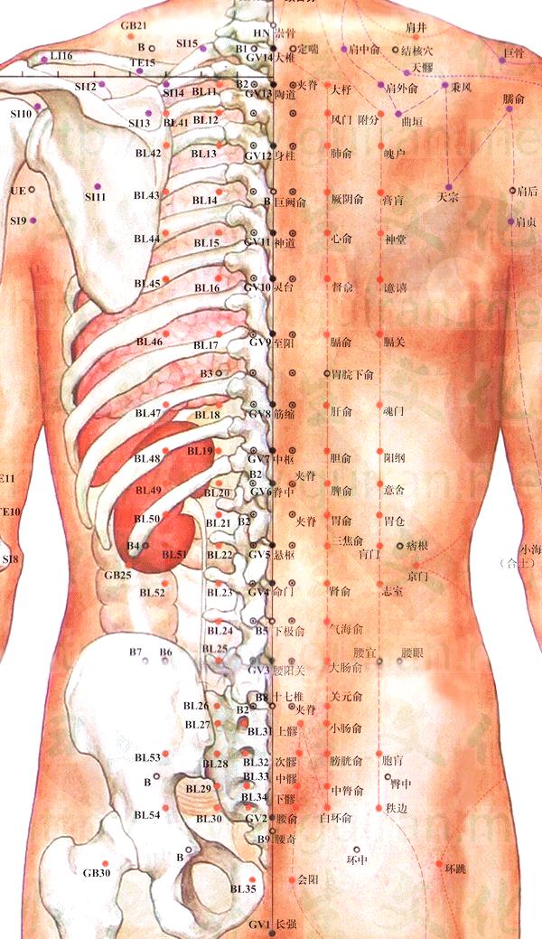 腰阳关