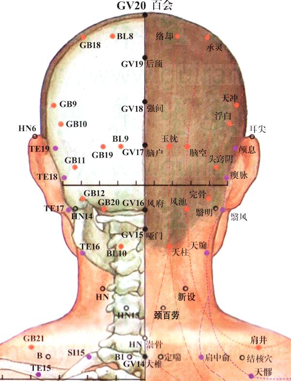 后顶