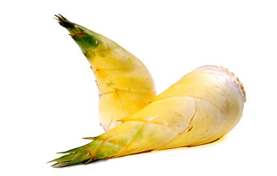 食笋