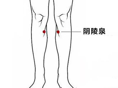 阴陵泉