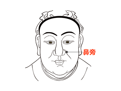 鼻旁
