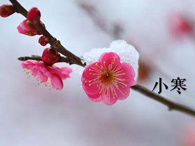 小寒养生