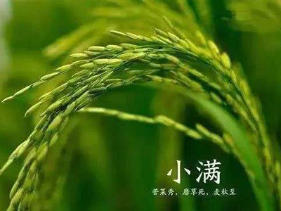 小满
