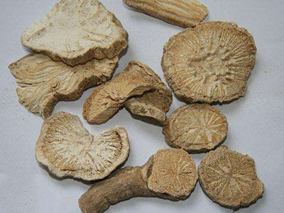 防已